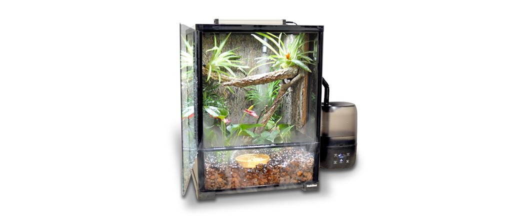 Glass Terrariums for Reptiles