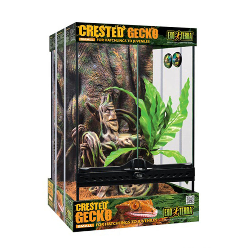 Exo Terra Crested Gecko Habitat Kit, Small, L30 x D30 x H45cm