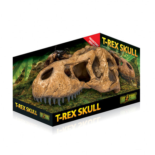 Exo Terra T-Rex Skull Hiding Cave