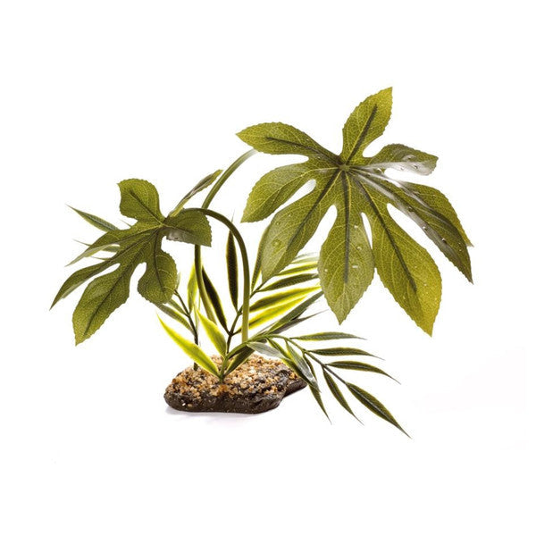 Free-Standing Plants