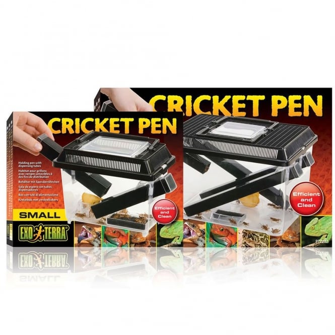 Cricket Keepers & Feeders