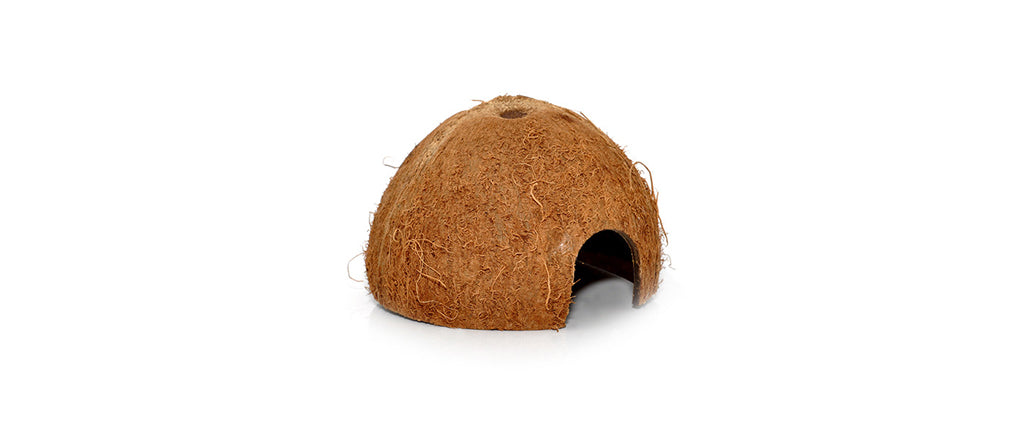 Natural Decor