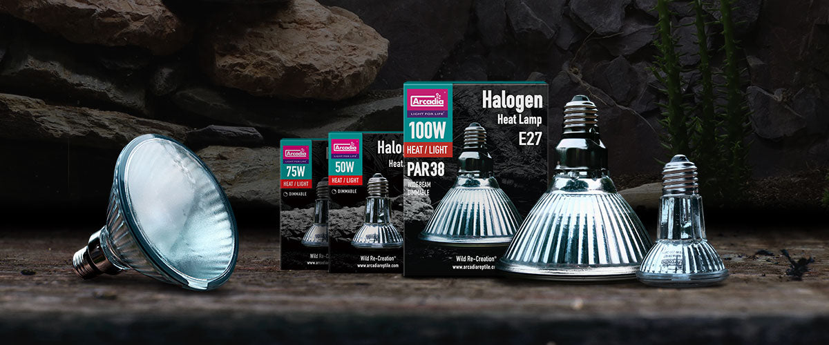 Basking Bulbs
