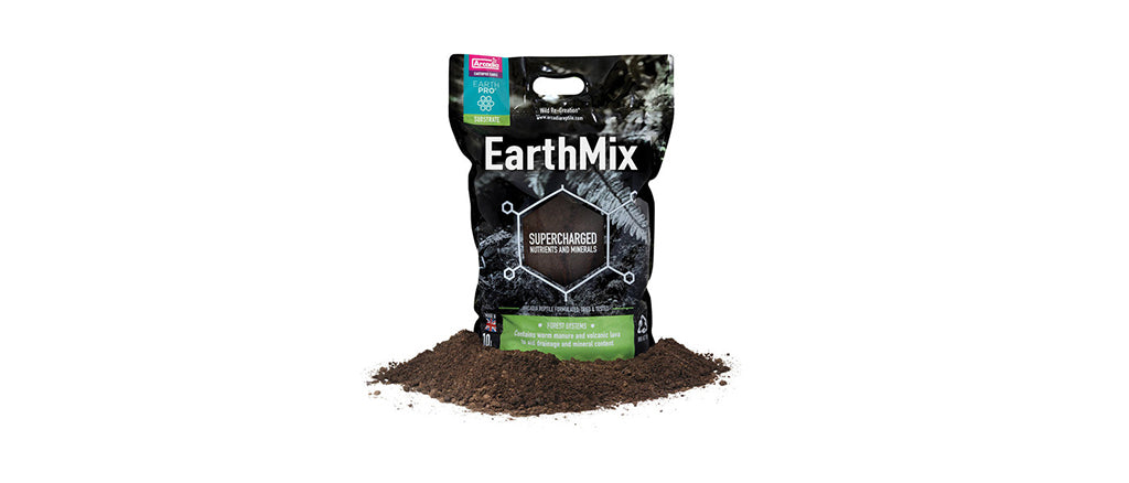 Bioactive Substrates