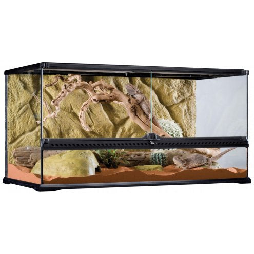 Exo Terra Glass Terrarium