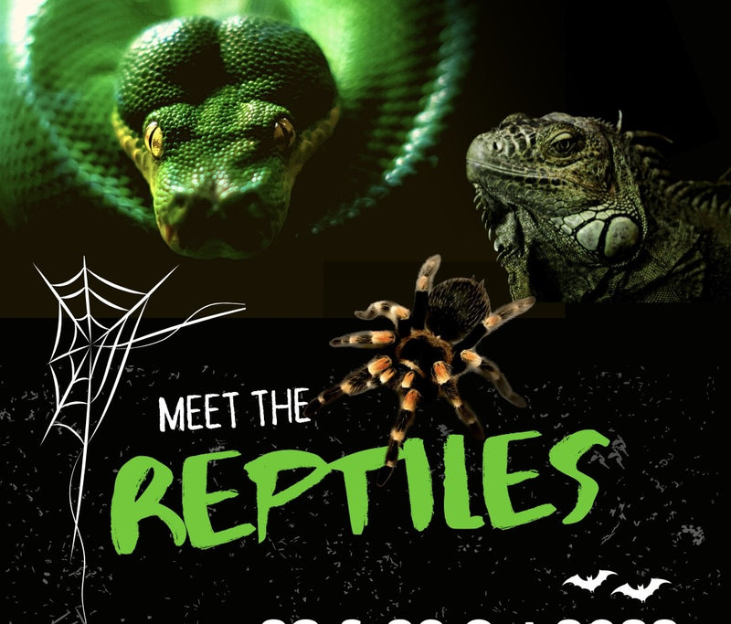 Halloween Meet The Reptiles Event Saturday 28th October 🎃