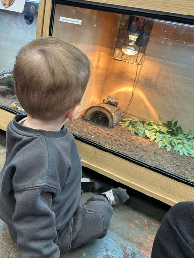 Reptile Handling Sessions