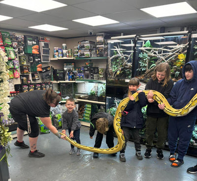 Reptile Handling Sessions