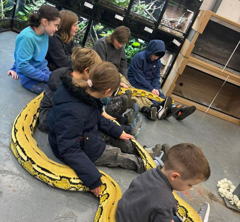 Reptile Handling Sessions