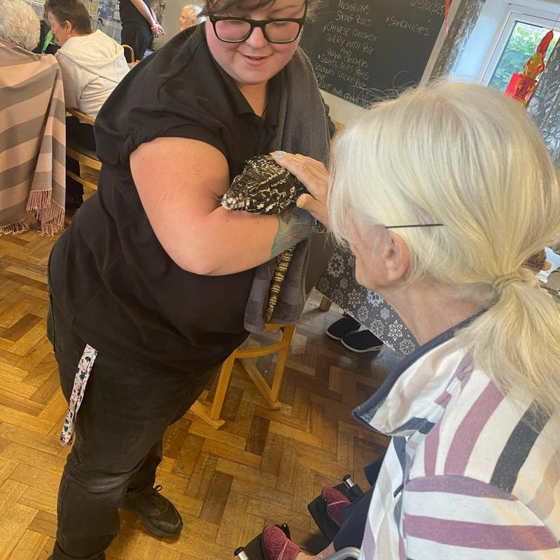 Reptile Handling Sessions