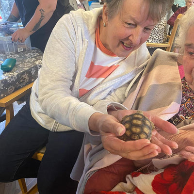 Reptile Handling Sessions
