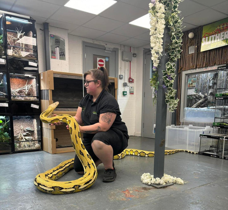Reptile Handling Sessions