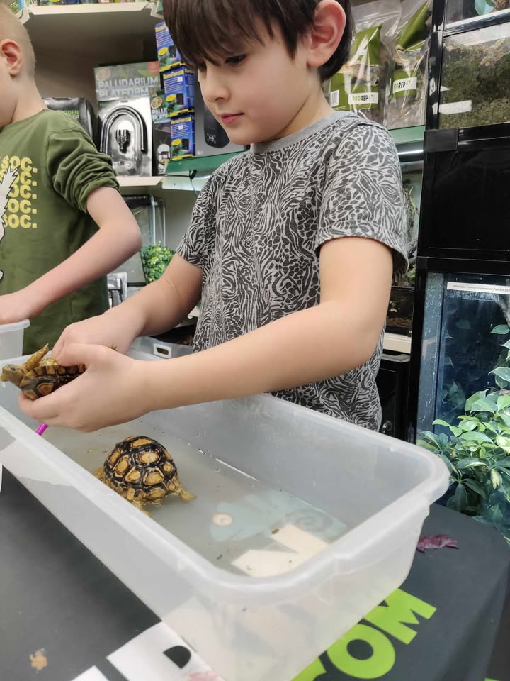 Slitherin Reptiles Mini Rangers Session