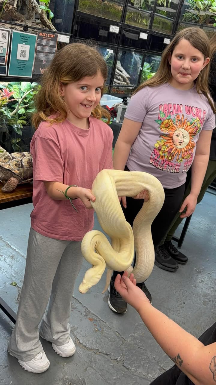 Slitherin Reptiles Mini Rangers Session