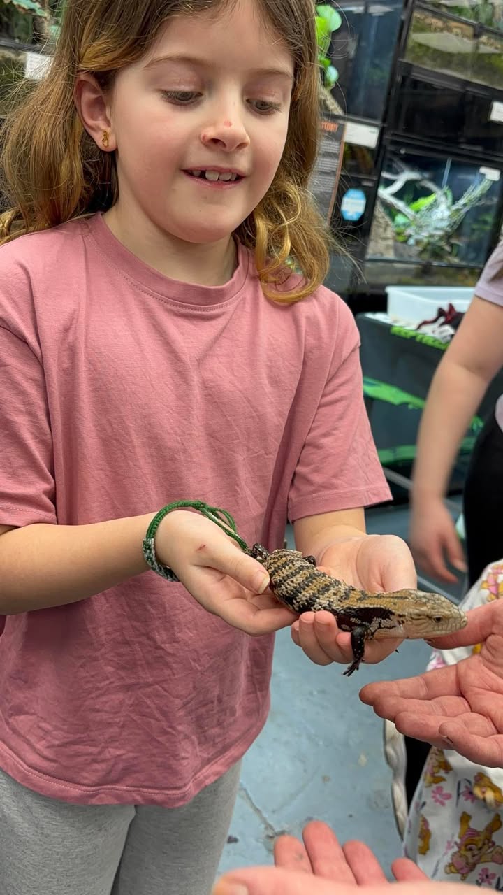 Slitherin Reptiles Mini Rangers Session