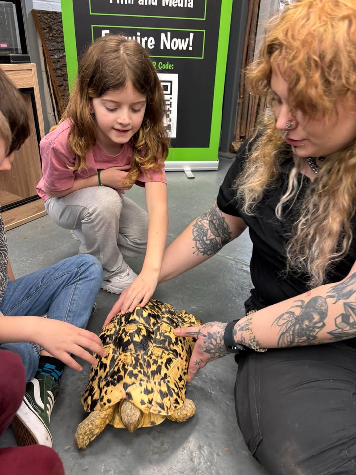 Slitherin Reptiles Mini Rangers Session