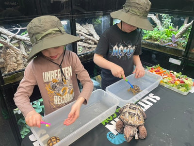 Slitherin Reptiles Mini Rangers Session
