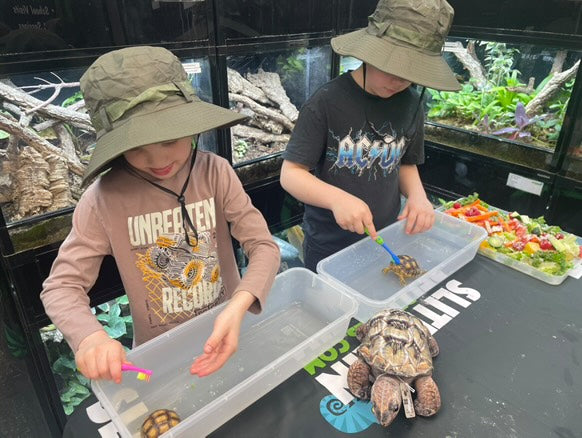 Slitherin Reptiles Mini Rangers Session