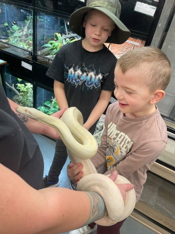 Slitherin Reptiles Mini Rangers Session