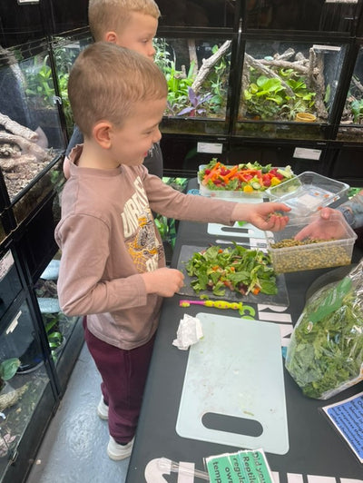 Slitherin Reptiles Mini Rangers Session