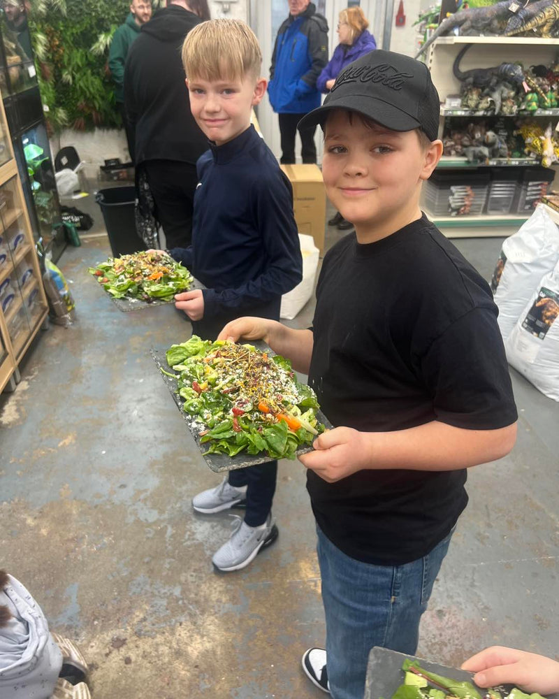 Slitherin Reptiles Mini Rangers Session