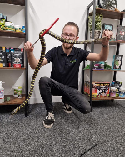 Reptile Health Check Services