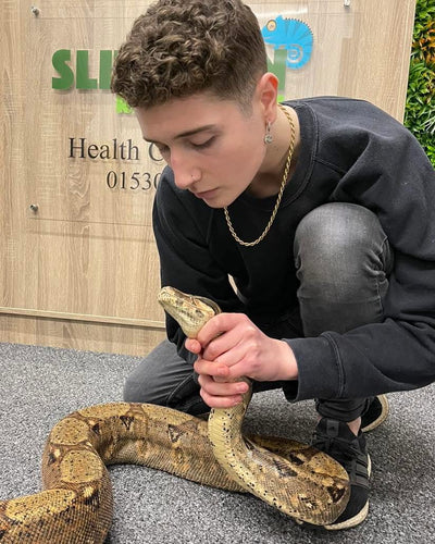 Reptile Health Check Services