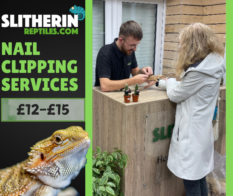 Nail / Claw Clipping Service
