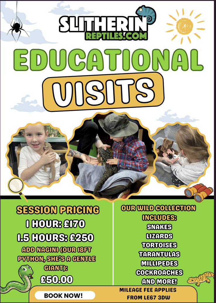 Interactive Animal Workshops – Schools, Nurseries, Care Homes, SEN & More!