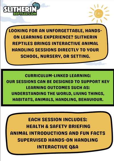 Interactive Animal Workshops – Schools, Nurseries, Care Homes, SEN & More!