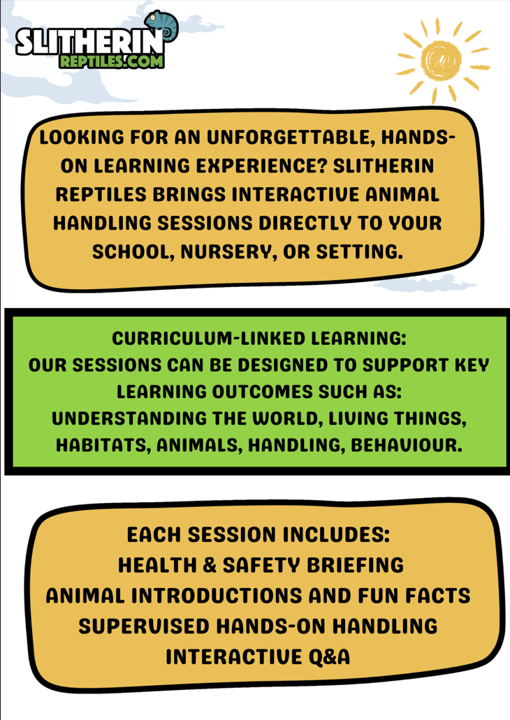 Interactive Animal Workshops – Schools, Nurseries, Care Homes, SEN & More!