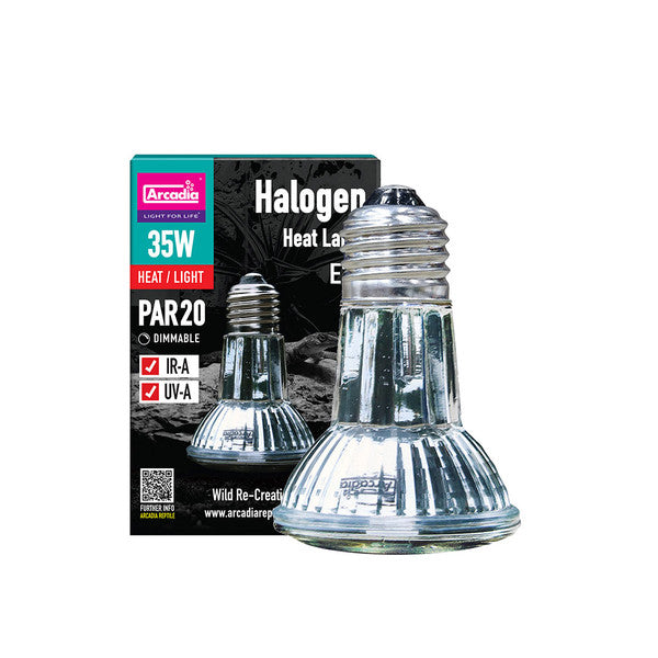 ARCADIA MINI HALOGEN FLOOD LAMP single pack