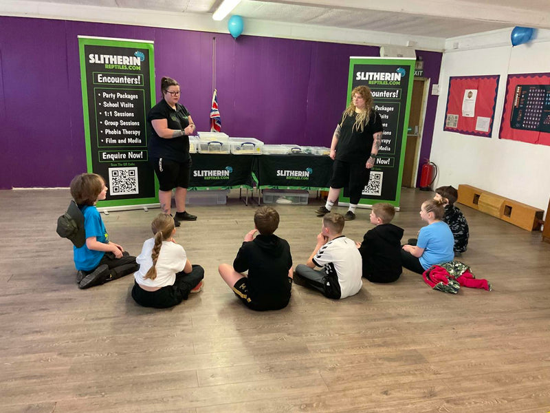 Interactive Animal Workshops – Schools, Nurseries, Care Homes, SEN & More!