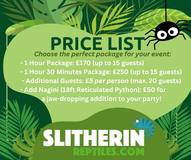 Reptile Parties Like No Other!🐍🦎