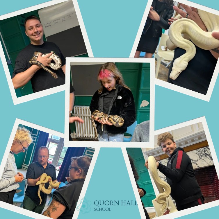 Interactive Animal Workshops – Schools, Nurseries, Care Homes, SEN & More!