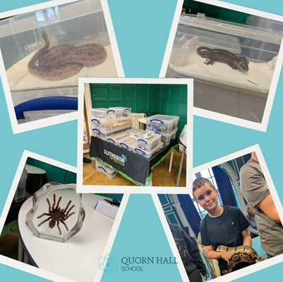 Interactive Animal Workshops – Schools, Nurseries, Care Homes, SEN & More!