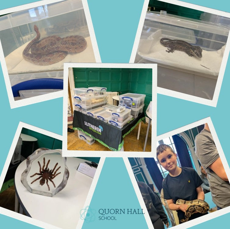 Interactive Animal Workshops – Schools, Nurseries, Care Homes, SEN & More!