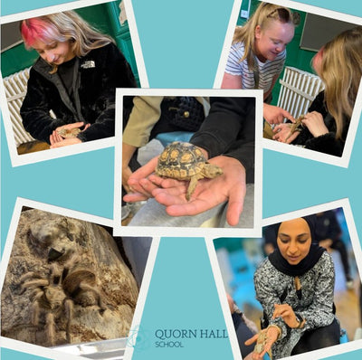 Interactive Animal Workshops – Schools, Nurseries, Care Homes, SEN & More!