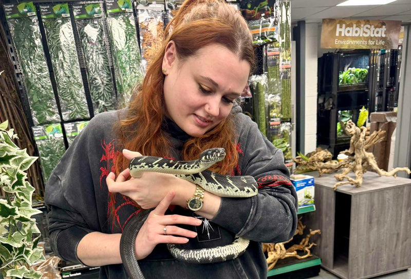 Reptile Handling Sessions