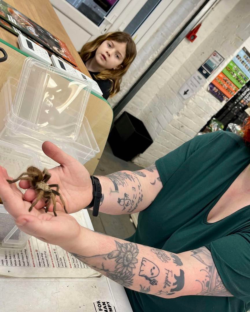 Reptile Handling Sessions