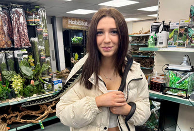 Reptile Handling Sessions