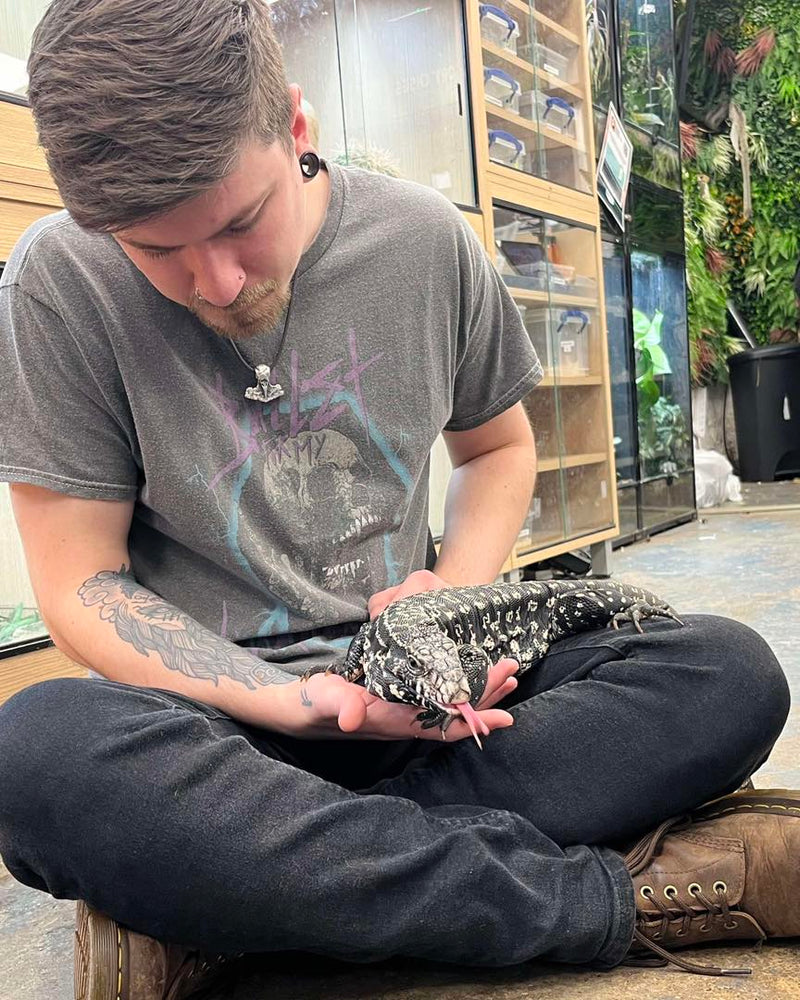 Reptile Handling Sessions