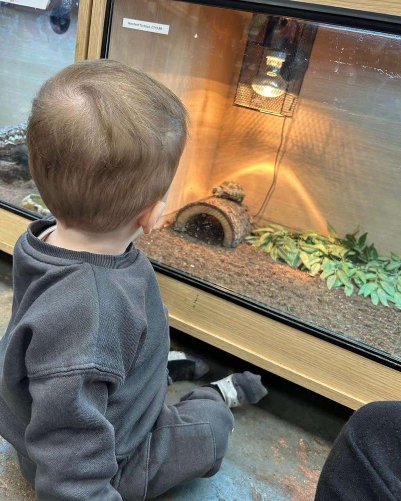 Reptile Handling Sessions