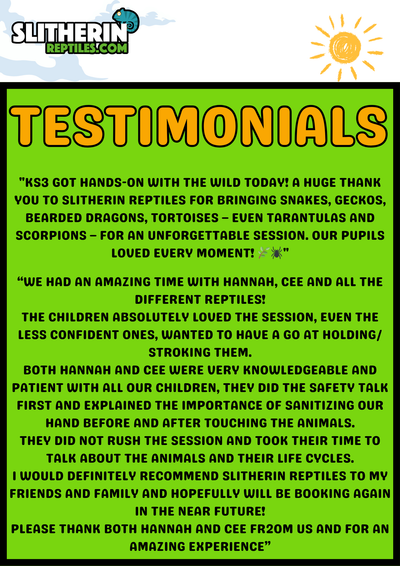 Interactive Animal Workshops – Schools, Nurseries, Care Homes, SEN & More!