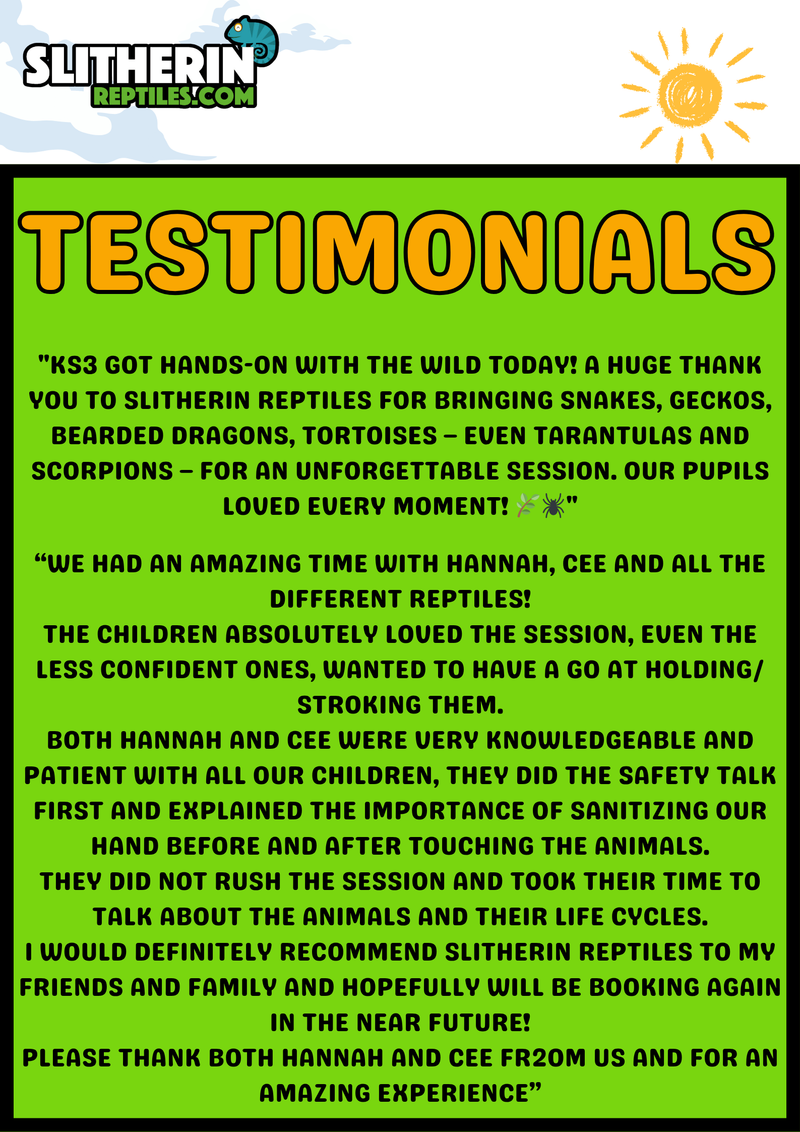 Interactive Animal Workshops – Schools, Nurseries, Care Homes, SEN & More!