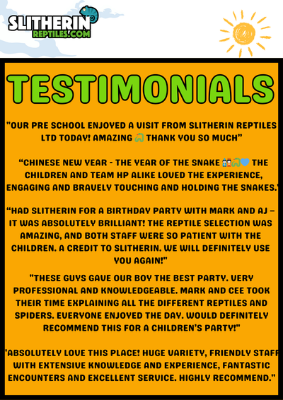 Interactive Animal Workshops – Schools, Nurseries, Care Homes, SEN & More!