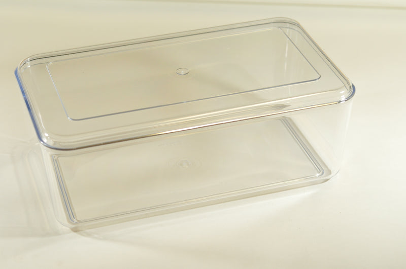 Monkfield Clear Hatchling Box, Large, L28 x D16.5 x H10cm