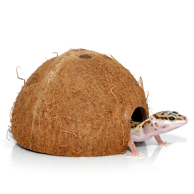 HabiStat Coconut Cave