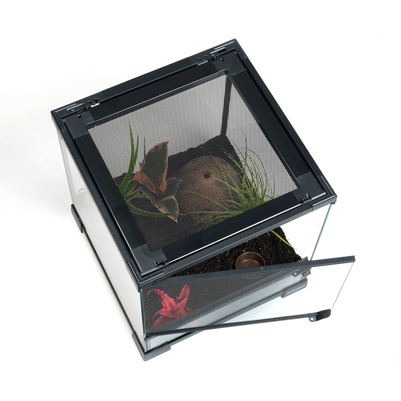 HabiStat Glass Terrarium, 30 x 30 x 45cm (12 x 12 x 18"), Built