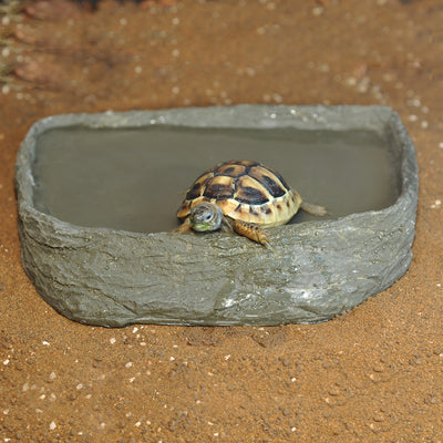 HabiStat Tortoise Pool, Large